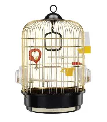 REGINA OTTONATA GABBIA