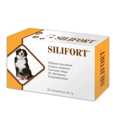 Aurora biofarma silifort 30 compresse 1 gr