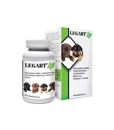 Aurora biofarma legart up 60 tavolette 1 gr