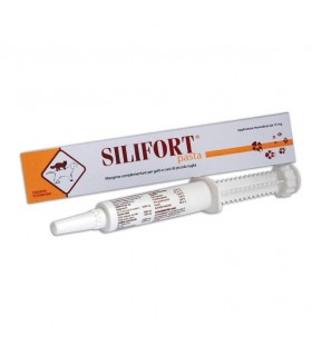 Aurora biofarma silifort pasta os siringa 30 gr
