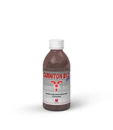 Acme carniton b12 pet 80 compresse