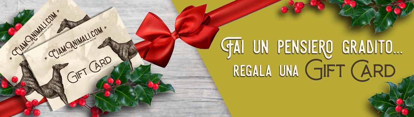 Regala una Gift Card