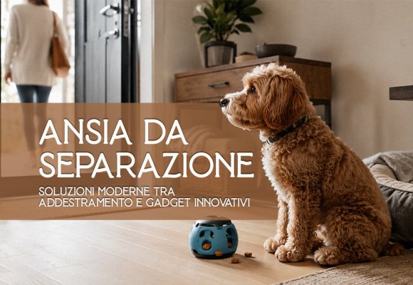 Ansia da separazione nei cani: soluzioni moderne tra addestramento e gadget innovativi