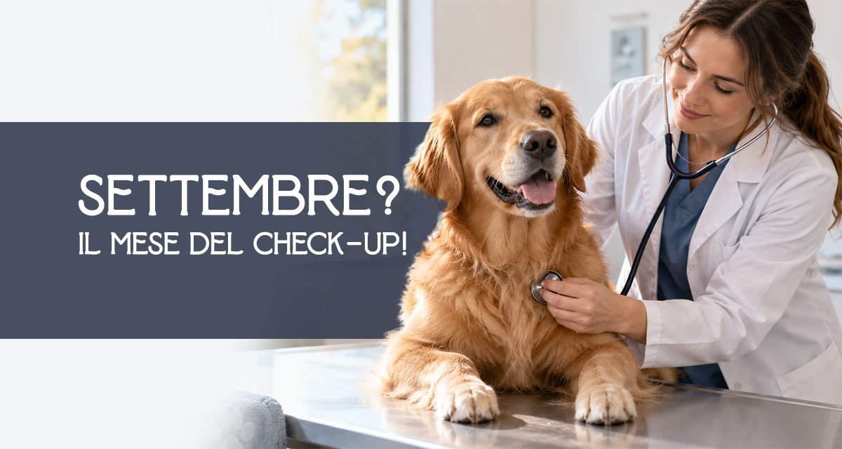 Check-up del cane dopo l’estate: 6 controlli da fare a settembre