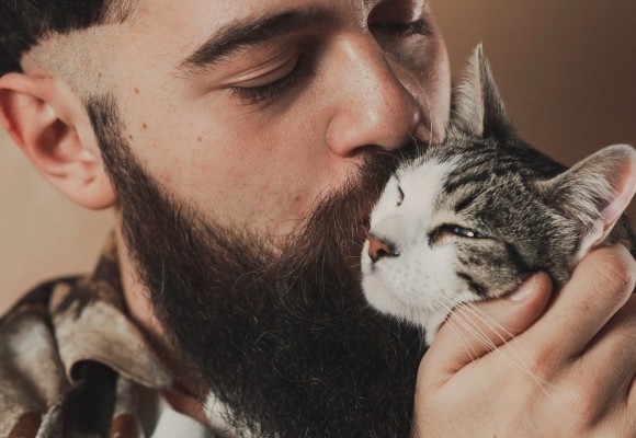 Alimentazione del Gatto: come nutrirlo al meglio rispettando la sua natura
