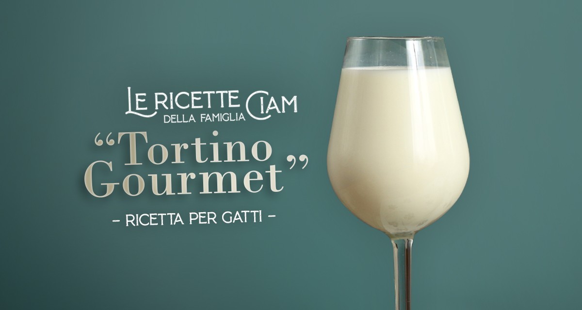 Tortino Gourmet - Le Ricette della Famiglia Ciam
