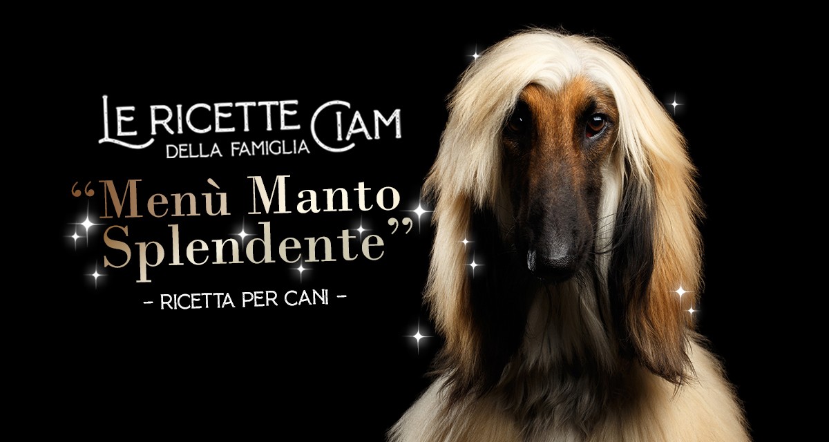 Menù Manto Splendente - Le Ricette della Famiglia Ciam