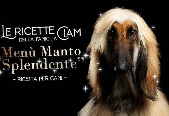 Menù Manto Splendente - Le Ricette della Famiglia Ciam