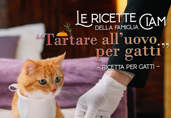 Tartare all’uovo per gatti – Le Ricette della Famiglia Ciam