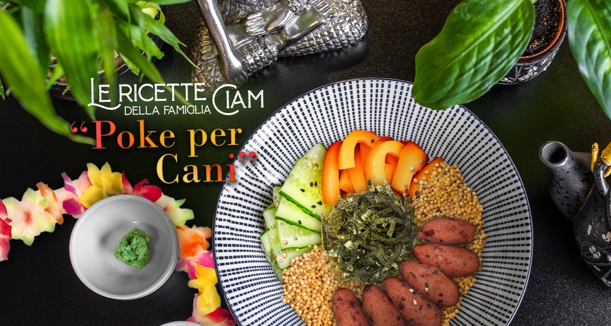 Poke per Cani - Le Ricette della Famiglia Ciam