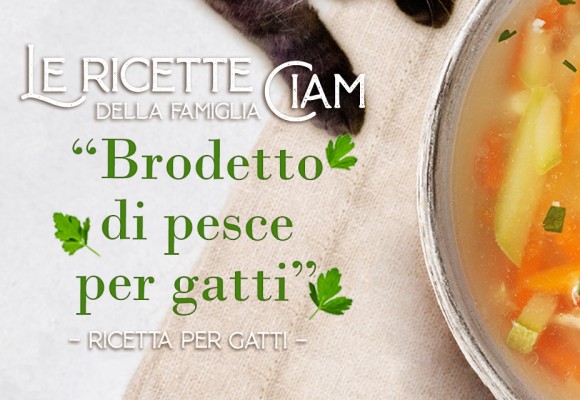 Brodetto di pesce per gatti – Le Ricette della Famiglia Ciam 