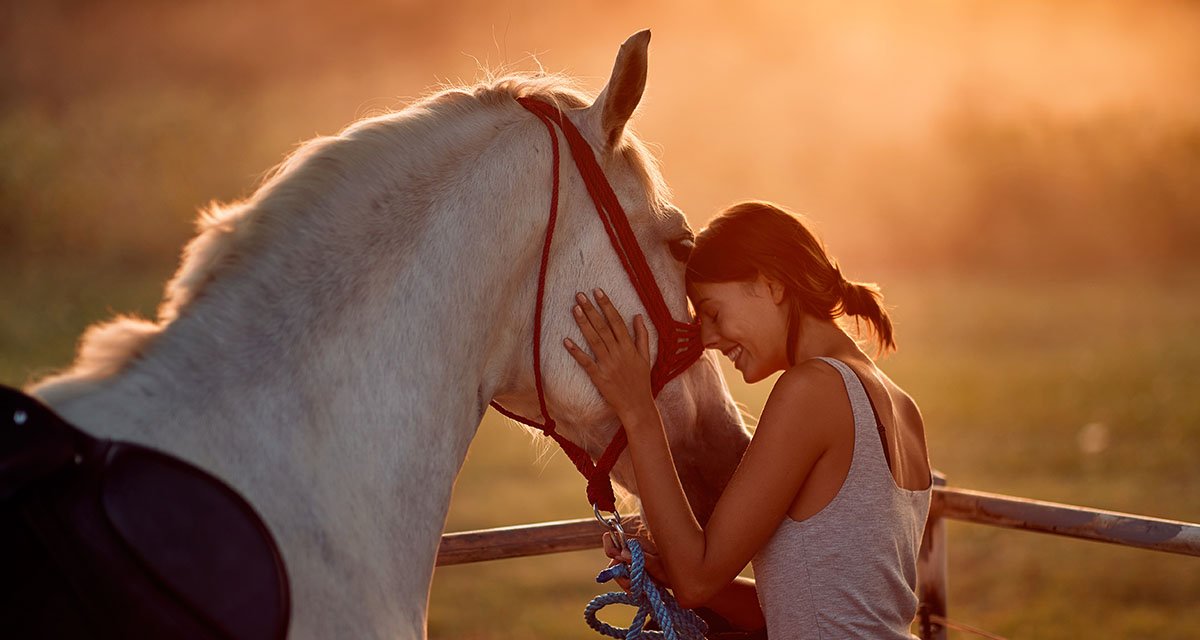Comunicare con il cavallo: un mondo da scoprire