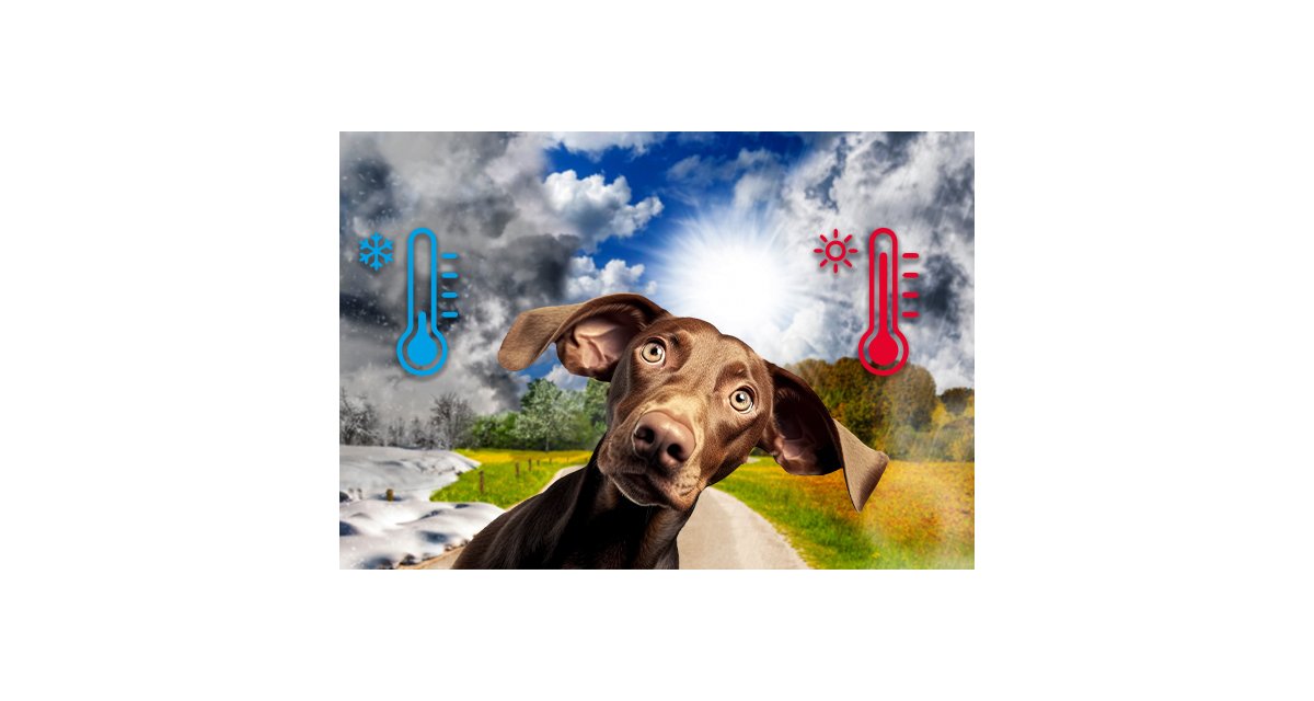 Cambio di stagione e alimentazione: cosa cambia per il tuo cane?