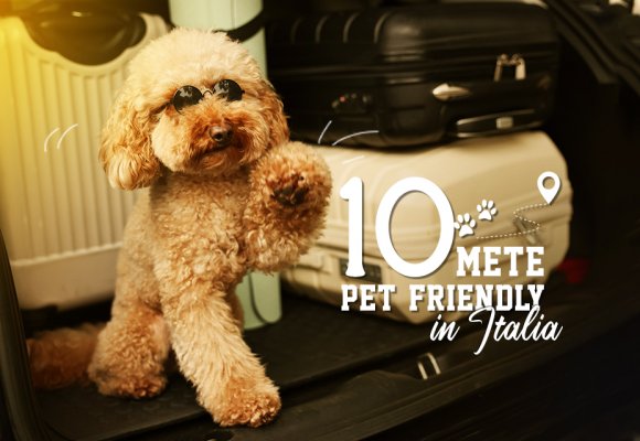 Estate 2025 con il tuo cane: le mete pet-friendly da non perdere in Italia