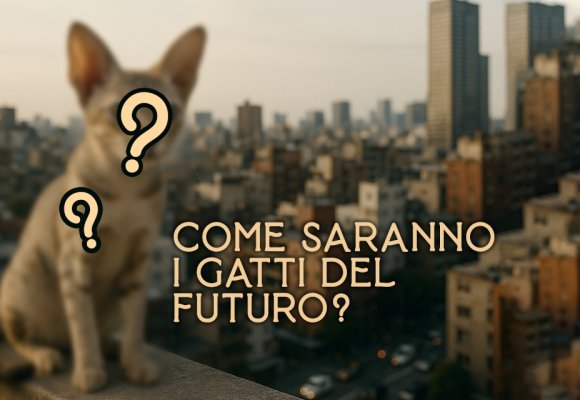 I gatti del futuro: come si evolveranno per essere più adatti alla vita urbana
