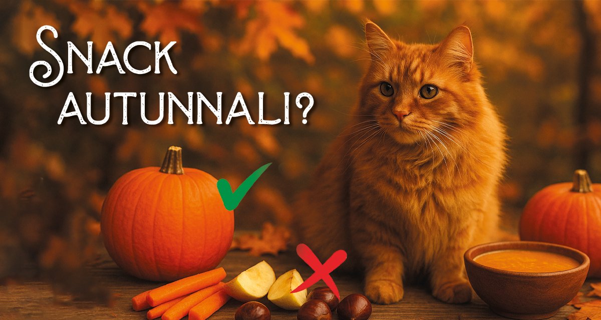 Snack autunnali per gatti: alimenti di stagione sicuri e golosi da introdurre in ottobre