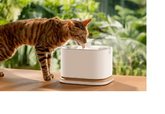 Tech & Felini: i gadget smart che stanno rivoluzionando la vita dei gatti nel 2026