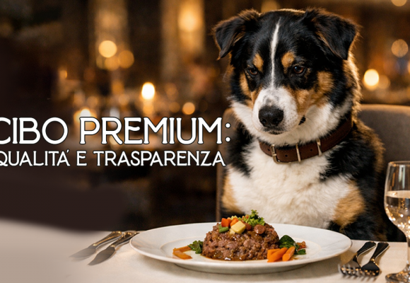 Dieta e benessere: come il cibo premium e funzionale sta cambiando la salute dei cani