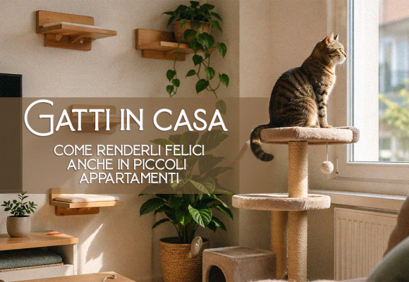 Gatti in casa. Come renderli felici anche in piccoli appartamenti