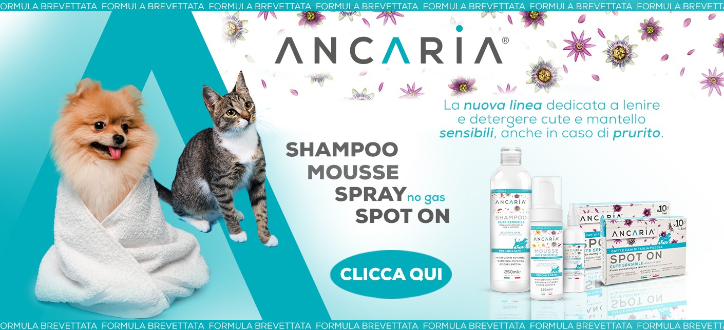 Ancaria