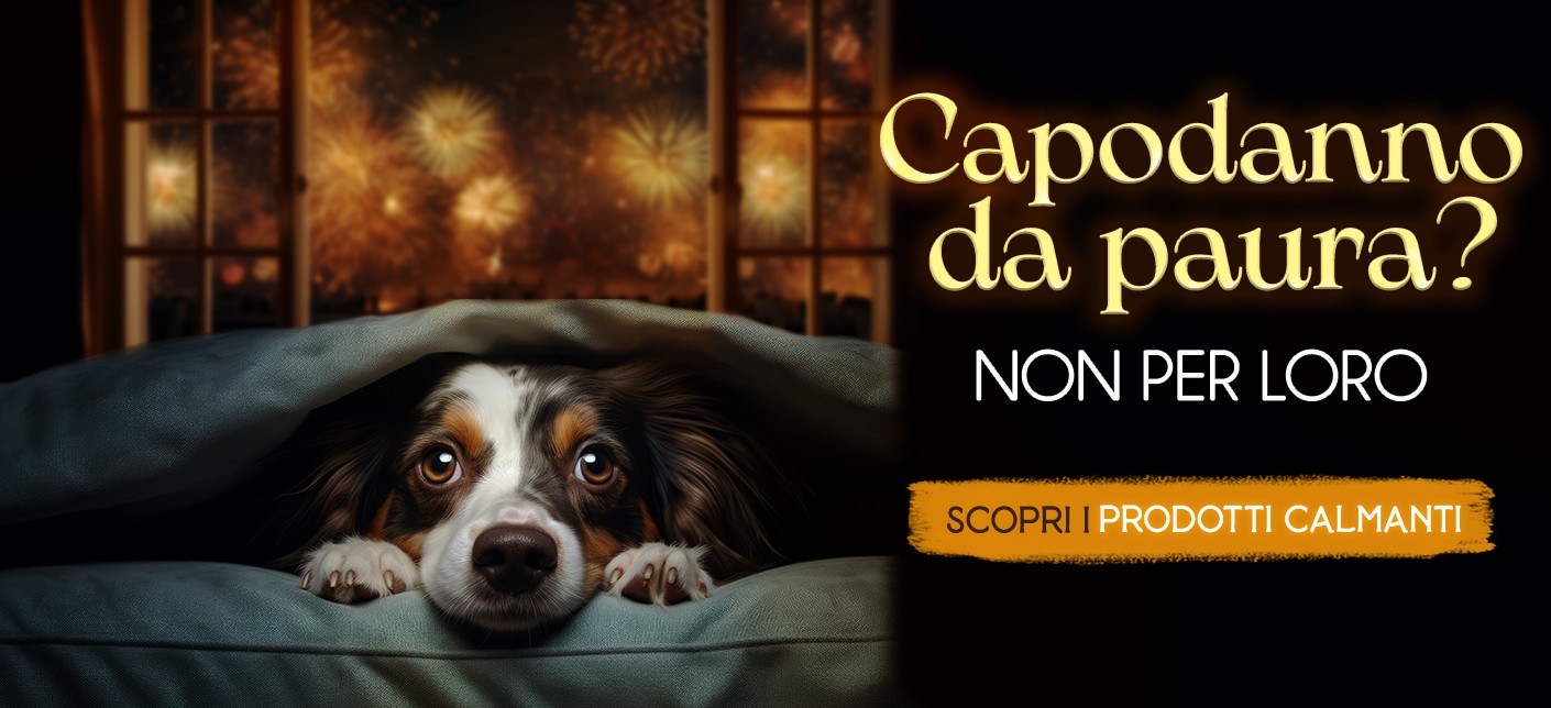 Capodanno da paura? Non per loro! Scopri i prodotti calmanti