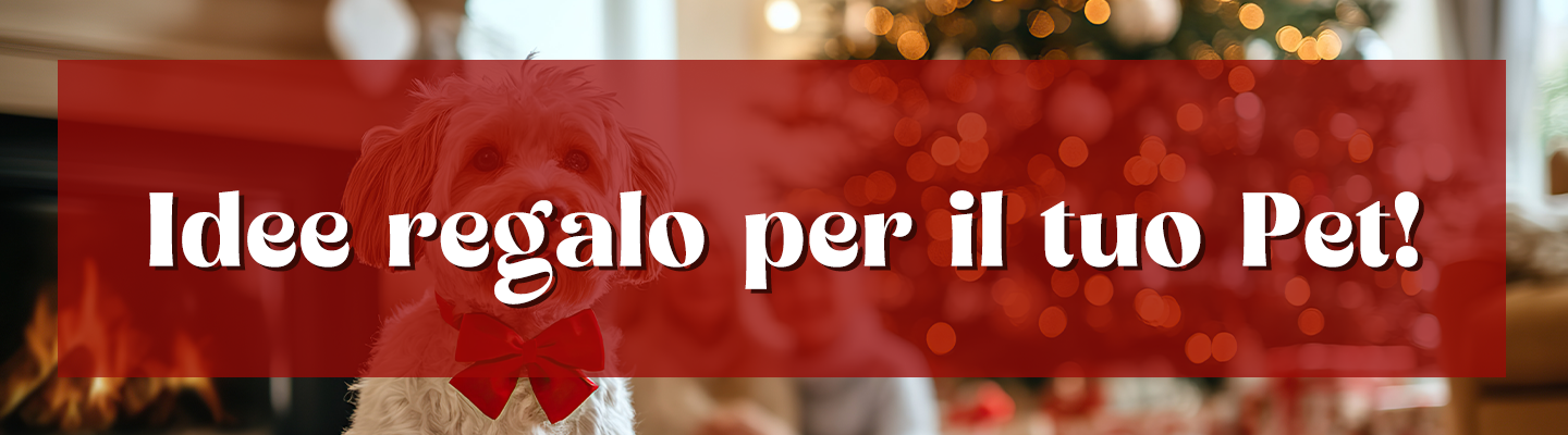 Trova il regalo perfetto!