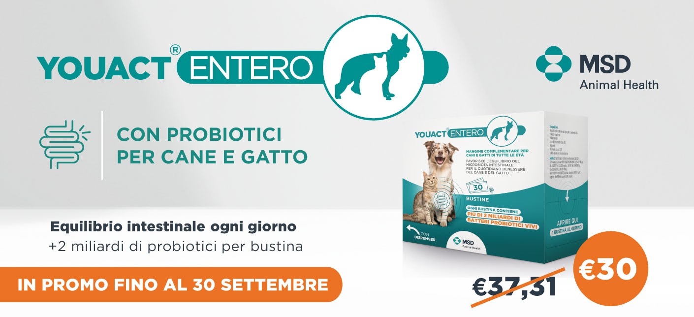 youact entero