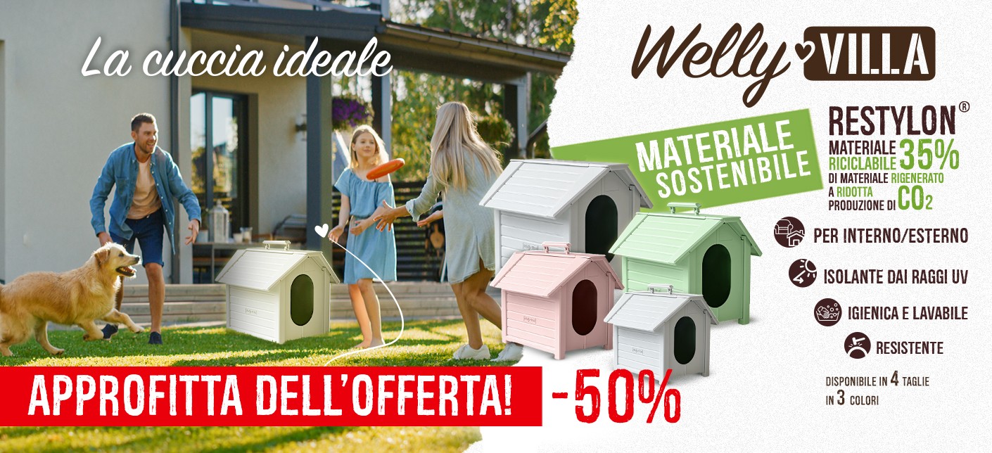 Welly Villa -50%